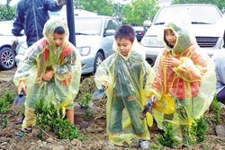 台湾高雄开展植树活动儿童不顾大雨积极参与