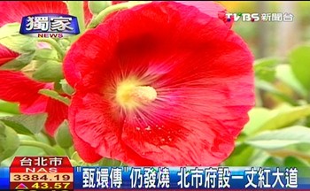 “一丈红” 来源：台湾TVBS电视台