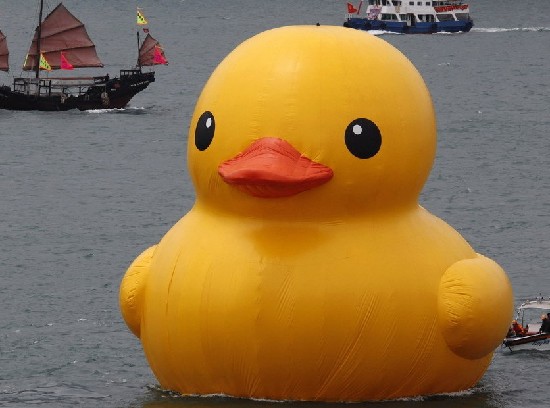 小黄鸭或将驾临高雄真爱码头 盼带来观光效益 - 台湾社会 - 东南网