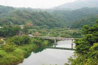 台北饮用水供应区翡翠水库 鱼群大量死亡疑遭毒害