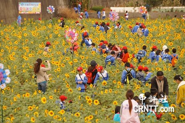 花海迷宫遇到彩绘稻田台湾桃园处处惊艳