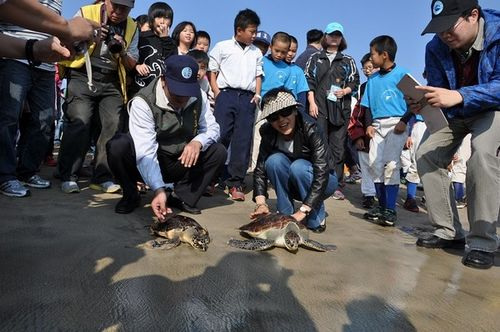 澎湖县放生濒临绝种海龟法师现场作法（图）