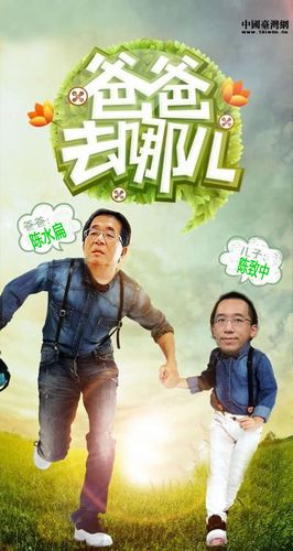 陈致中版“爸爸去哪儿”吁让陈水扁回家过年