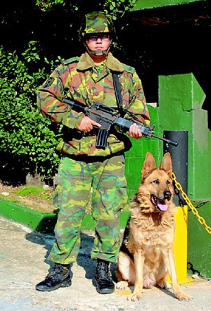 台军陆军史上最后一只军犬具有“士官长”身份