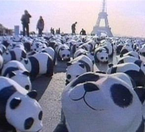 法国艺术家1600只纸熊猫将现身台北（图）