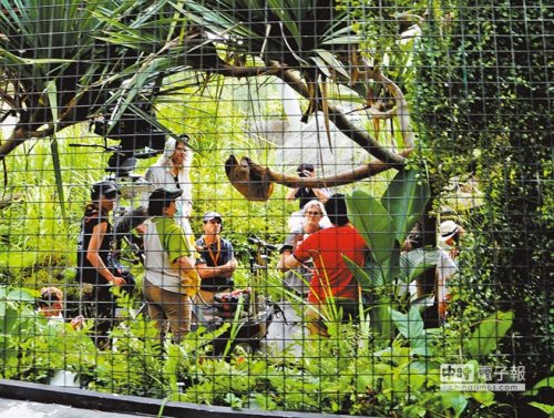 台北动物园成影视剧最热拍摄地少年PI曾取景