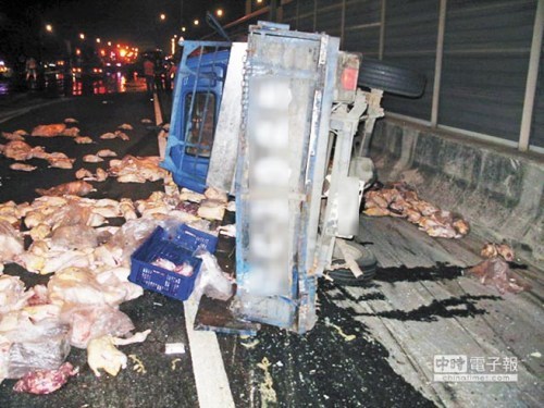 小货车被撞翻车上千只鸭散布道路阻塞交通（图）