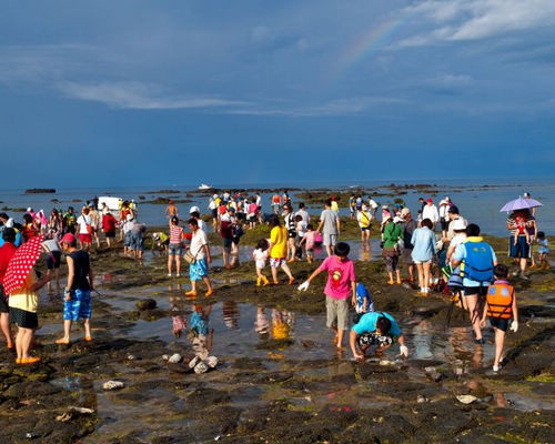 澎湖新鲜玩！低碳游世界最美丽海湾（图）