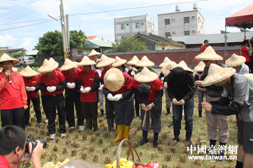 在一块浊金米稻田开廉收割前举行的祭天仪式（中国台湾网 芜同 摄）