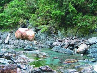 台湾一森林系大学生登山时失足坠落当场死亡