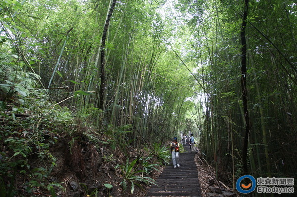 台湾桃园巴陵古道生态之旅 寻找历史踪迹