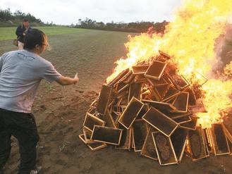 台湾一农场600万只蜜蜂遭“毒杀”饲主痛斥没天良