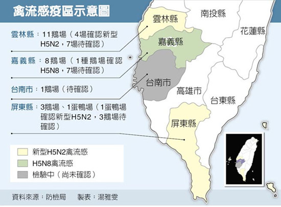 台湾扑杀1.5万只鸭鹅灭禽流感水禽屠宰场停业2天