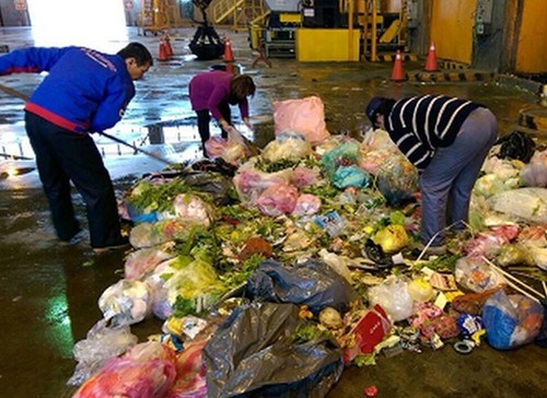 妇人将27万台币丢进垃圾车所幸从2吨垃圾中找回