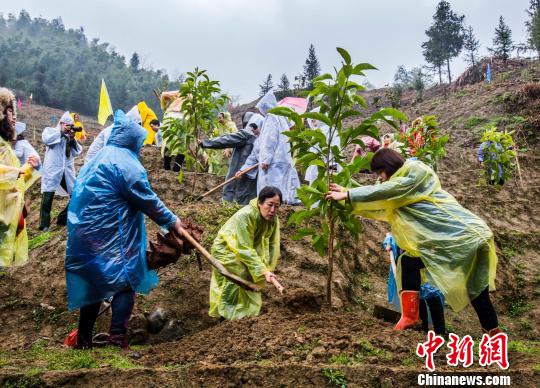 海峡两岸各界妇女福州共植“巾帼林”