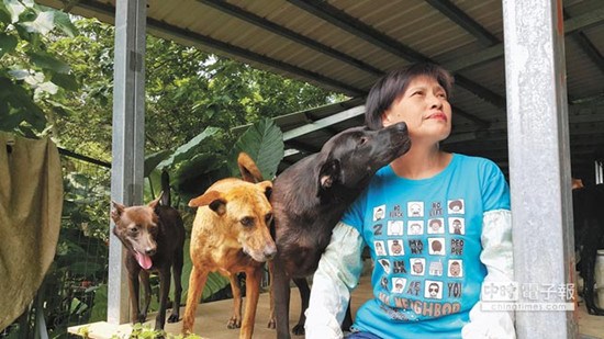 台湾妇人视狗如子花光千万台币积蓄收养流浪狗（图）