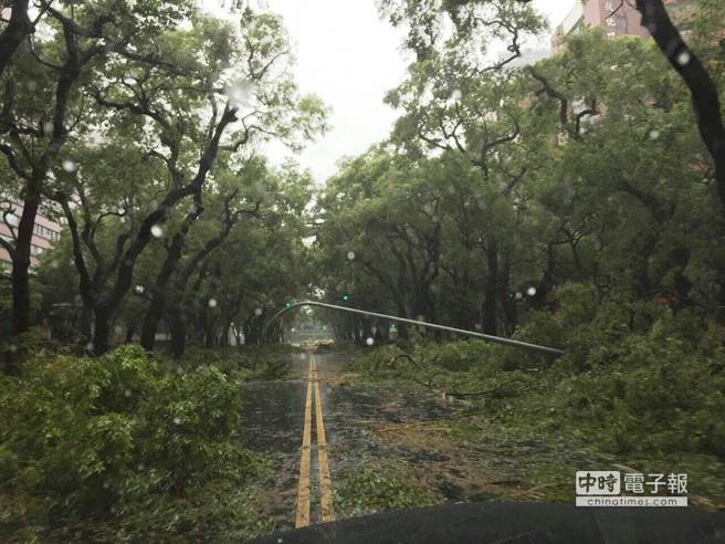 苏迪勒台风致台北6千棵树木折损 20天清不完