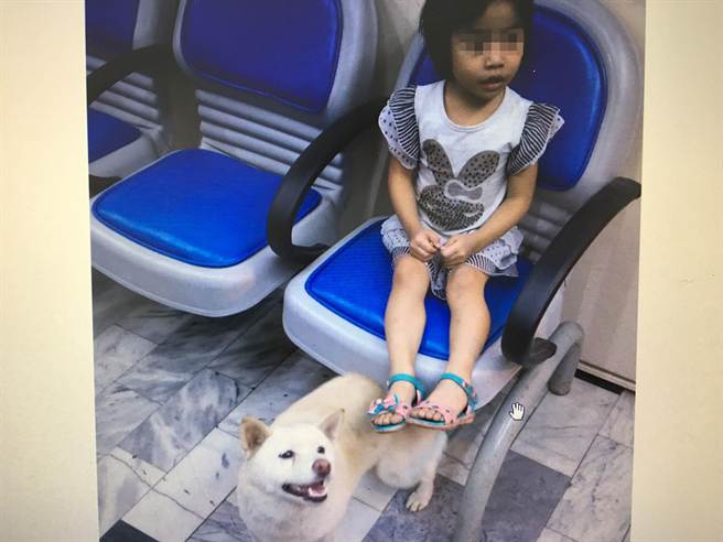 台湾3岁女童半夜离家 家中小柴犬一路跟随(图)