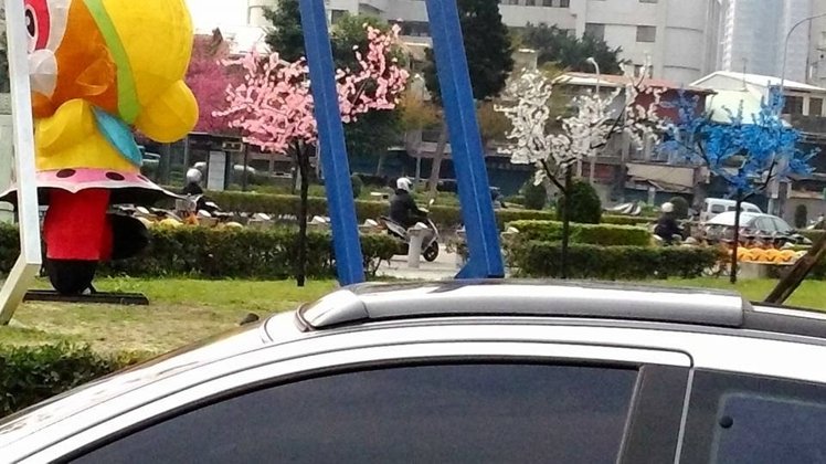 台北公园塑料樱花以假乱真 民众怨叹被唬弄(图)