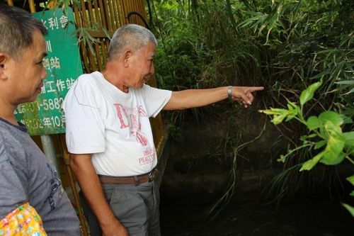 新埔宝石里民林先生回到水道旁，相较上周浅水位，今日渠道水流快速，感叹“那位阿婆真的很幸运”。台湾《联合报》 记者许政榆／摄影
