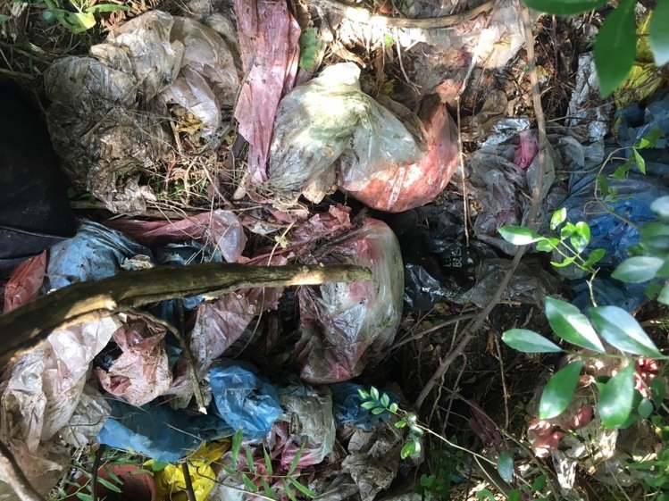 盗领案剩余赃款寻获 两千万现金竟被嫌犯藏在垃圾堆