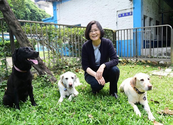 蔡英文签订收养切结书