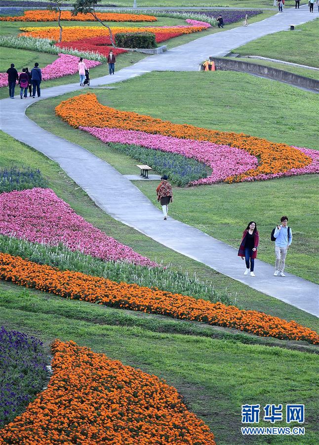 （社会）（2）台北河滨公园花团锦簇