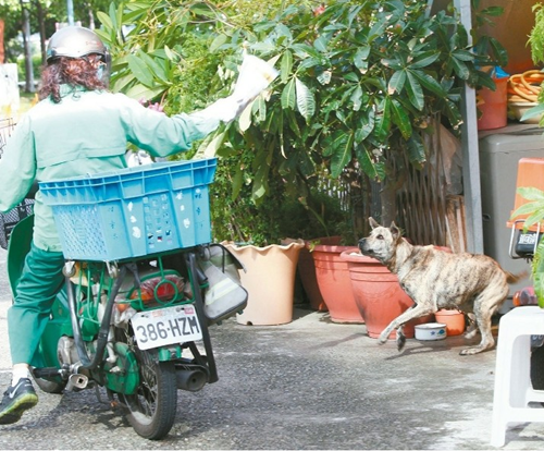 台湾拟新规保护邮差家有恶犬不拴好或被邮局拉黑