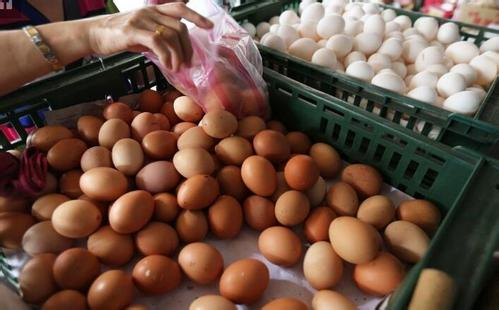 台媒：蔡英文当局连颗蛋都管不好还说什么食安第一？
