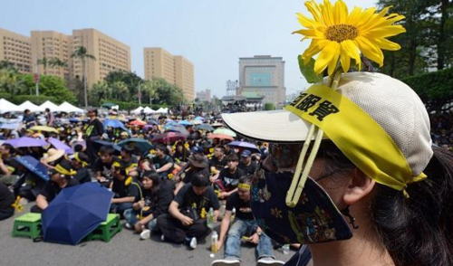 太阳花“领袖”今何在?